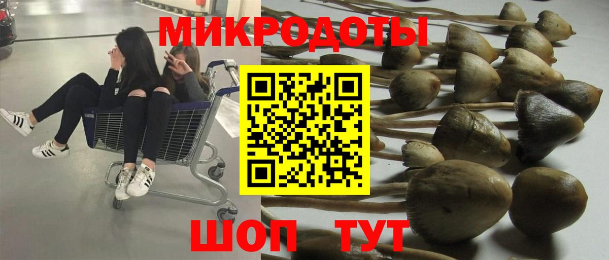 Галлюциногенные грибы Magic Shrooms Чебаркуль